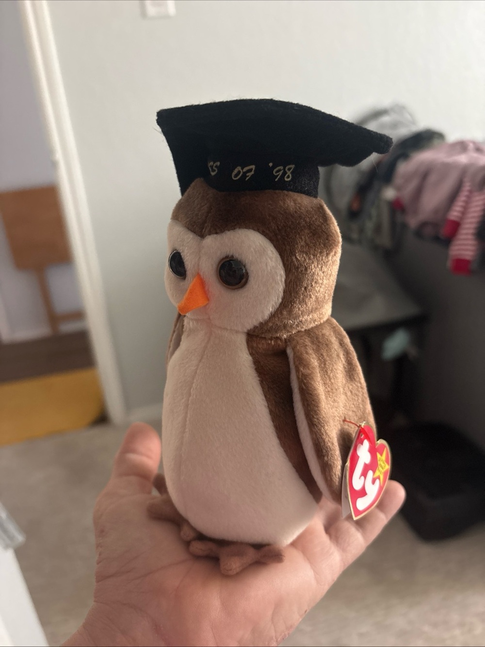 Ty Wise the Owl 1998 Black Graduation Cap